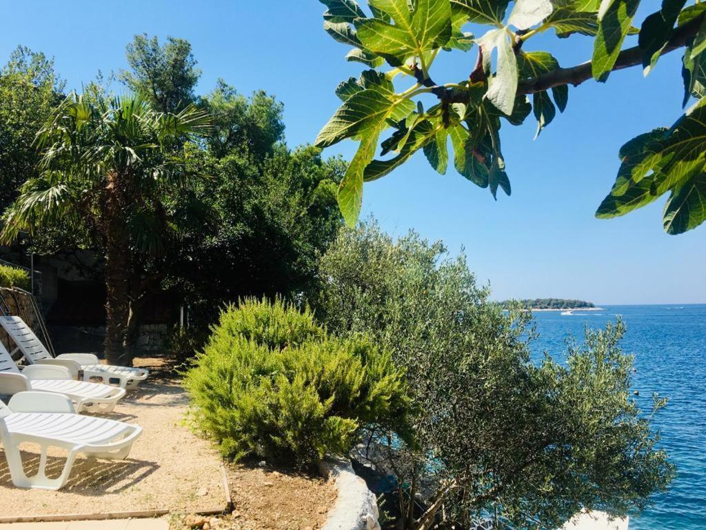 Premium Oaza Appartement Primošten Buitenkant foto